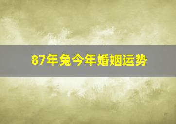 87年兔今年婚姻运势