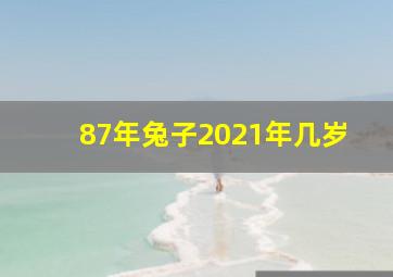 87年兔子2021年几岁