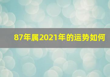 87年属2021年的运势如何