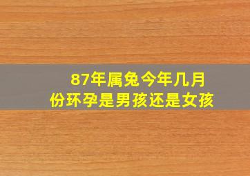 87年属兔今年几月份环孕是男孩还是女孩