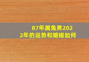 87年属兔男2022年的运势和婚姻如何