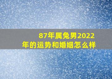 87年属兔男2022年的运势和婚姻怎么样