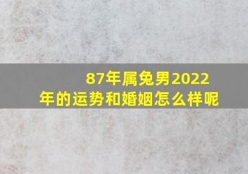 87年属兔男2022年的运势和婚姻怎么样呢