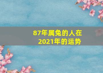 87年属兔的人在2021年的运势