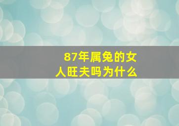 87年属兔的女人旺夫吗为什么