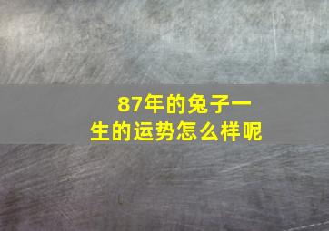 87年的兔子一生的运势怎么样呢