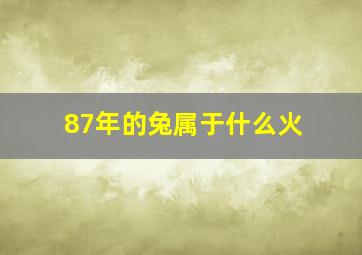 87年的兔属于什么火