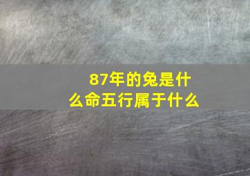 87年的兔是什么命五行属于什么