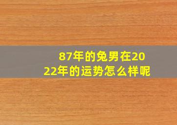 87年的兔男在2022年的运势怎么样呢