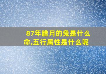 87年腊月的兔是什么命,五行属性是什么呢