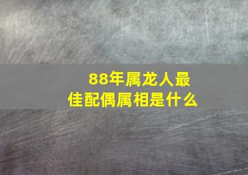 88年属龙人最佳配偶属相是什么