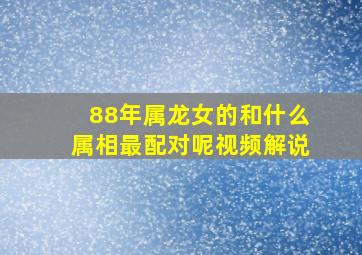 88年属龙女的和什么属相最配对呢视频解说