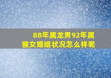 88年属龙男92年属猴女婚姻状况怎么样呢