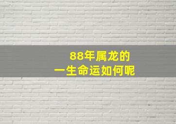 88年属龙的一生命运如何呢