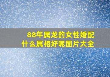 88年属龙的女性婚配什么属相好呢图片大全