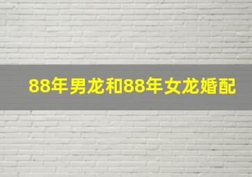 88年男龙和88年女龙婚配