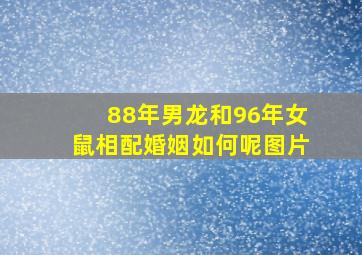 88年男龙和96年女鼠相配婚姻如何呢图片