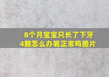 8个月宝宝只长了下牙4颗怎么办呢正常吗图片