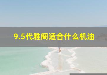 9.5代雅阁适合什么机油