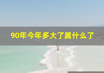 90年今年多大了属什么了