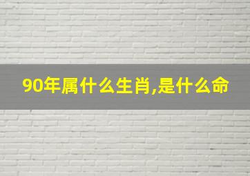 90年属什么生肖,是什么命