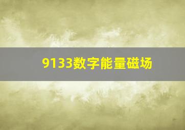 9133数字能量磁场