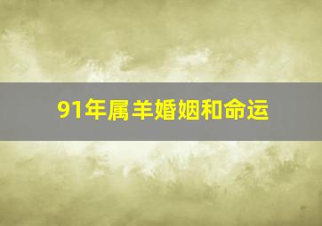 91年属羊婚姻和命运