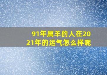 91年属羊的人在2021年的运气怎么样呢