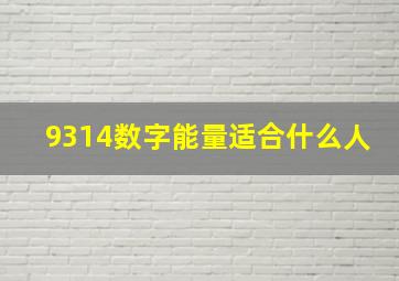 9314数字能量适合什么人