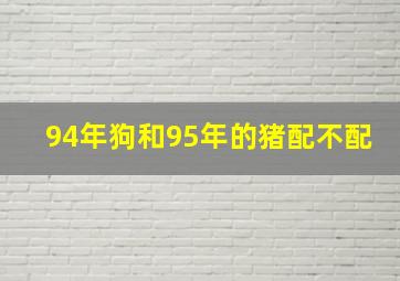 94年狗和95年的猪配不配