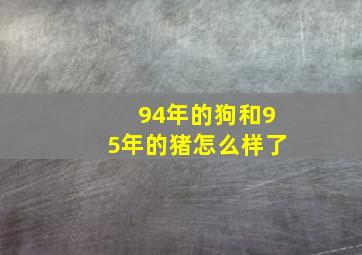 94年的狗和95年的猪怎么样了