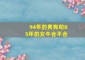 94年的男狗和85年的女牛合不合