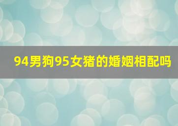 94男狗95女猪的婚姻相配吗