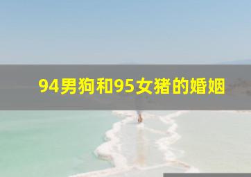 94男狗和95女猪的婚姻