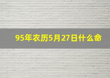 95年农历5月27日什么命