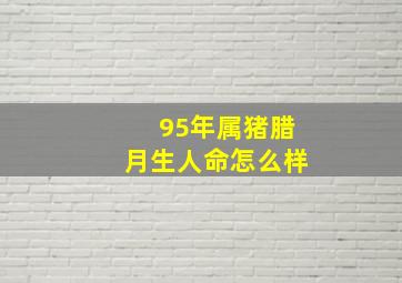 95年属猪腊月生人命怎么样