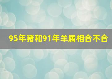 95年猪和91年羊属相合不合