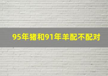 95年猪和91年羊配不配对