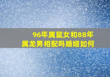 96年属鼠女和88年属龙男相配吗婚姻如何