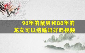 96年的鼠男和88年的龙女可以结婚吗好吗视频