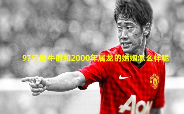 97年属牛的和2000年属龙的婚姻怎么样呢