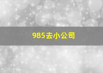 985去小公司