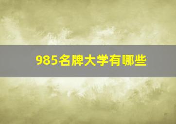 985名牌大学有哪些