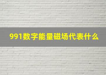 991数字能量磁场代表什么