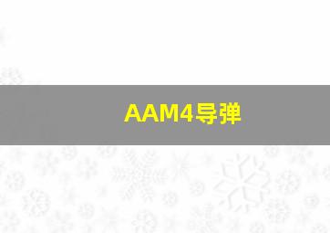 AAM4导弹