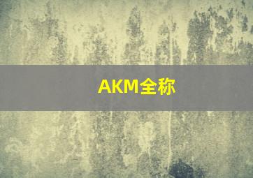 AKM全称