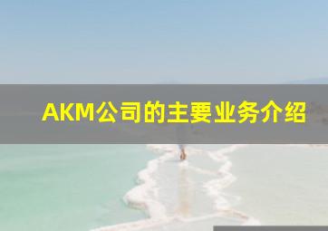 AKM公司的主要业务介绍