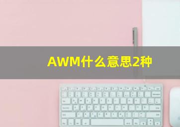 AWM什么意思2种