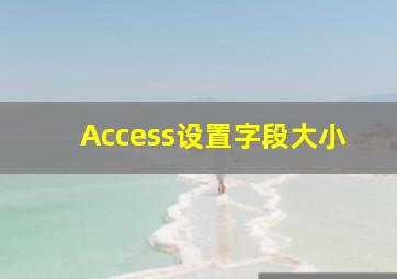 Access设置字段大小