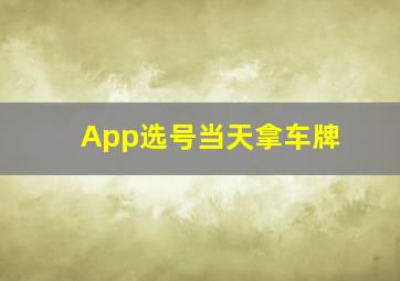 App选号当天拿车牌